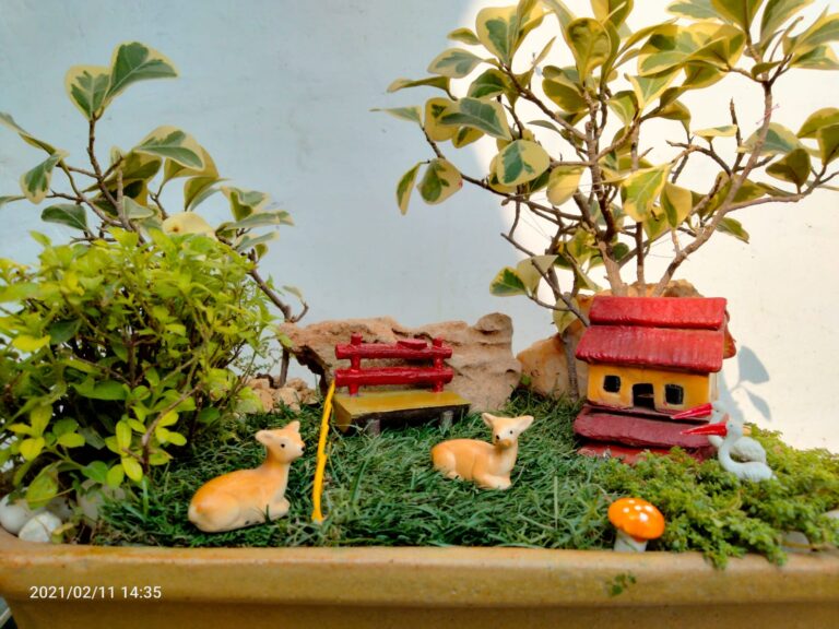 WhatsApp Image 2025-12-04 at 10.18.10