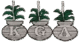 aikga.org