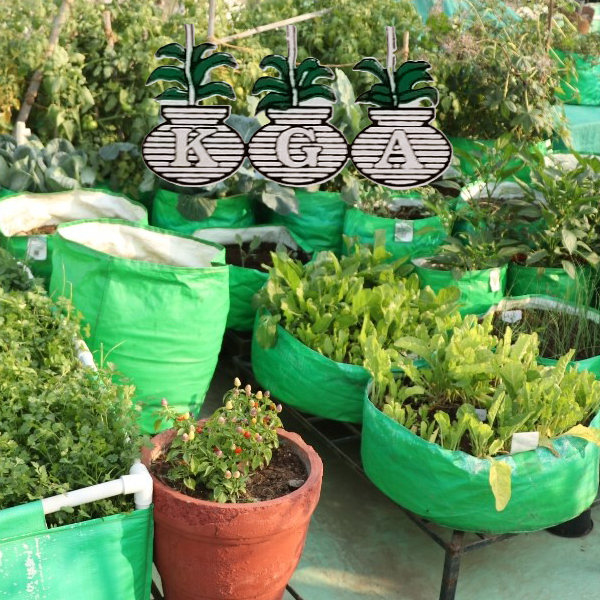 Winter Vegetables – Live Workshop