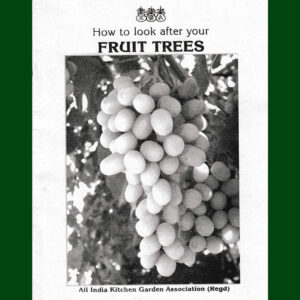 How to Look After Your Fruit Trees | Care, Pruning & Maintenance – Digital Booklet (PDF)