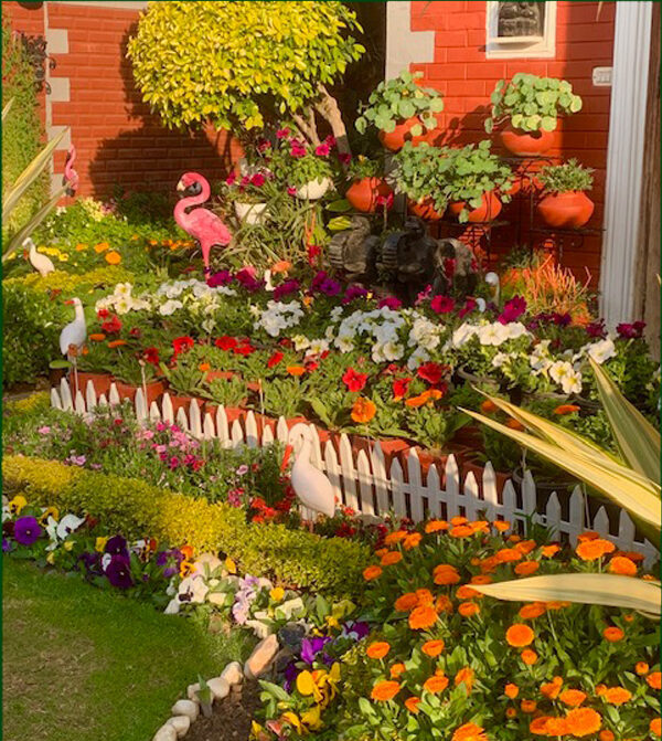 About All India Kitchen Garden Association