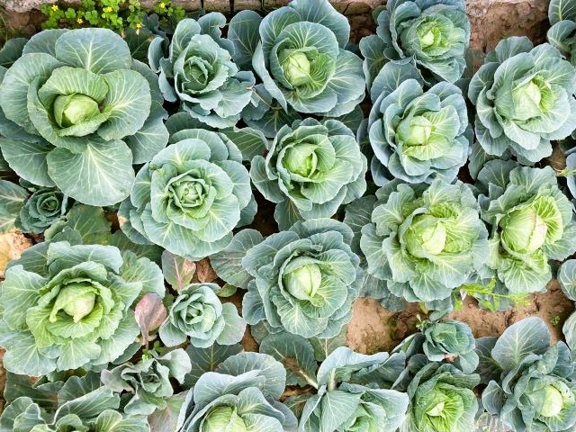 PHOTO 2025 12 09 20 03 18 1